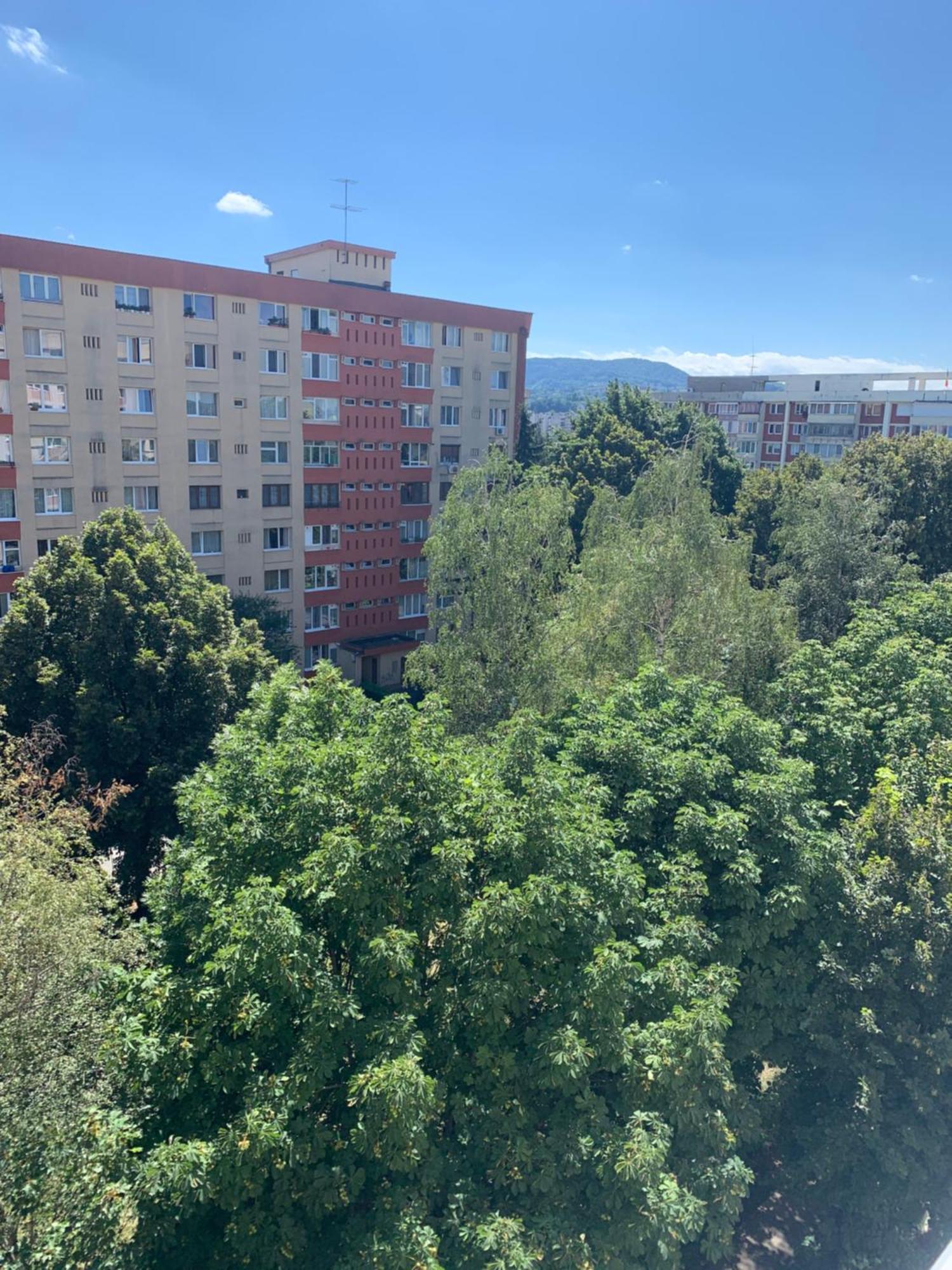 Victoriei Boulevard Private Apartment Braşov Eksteriør billede